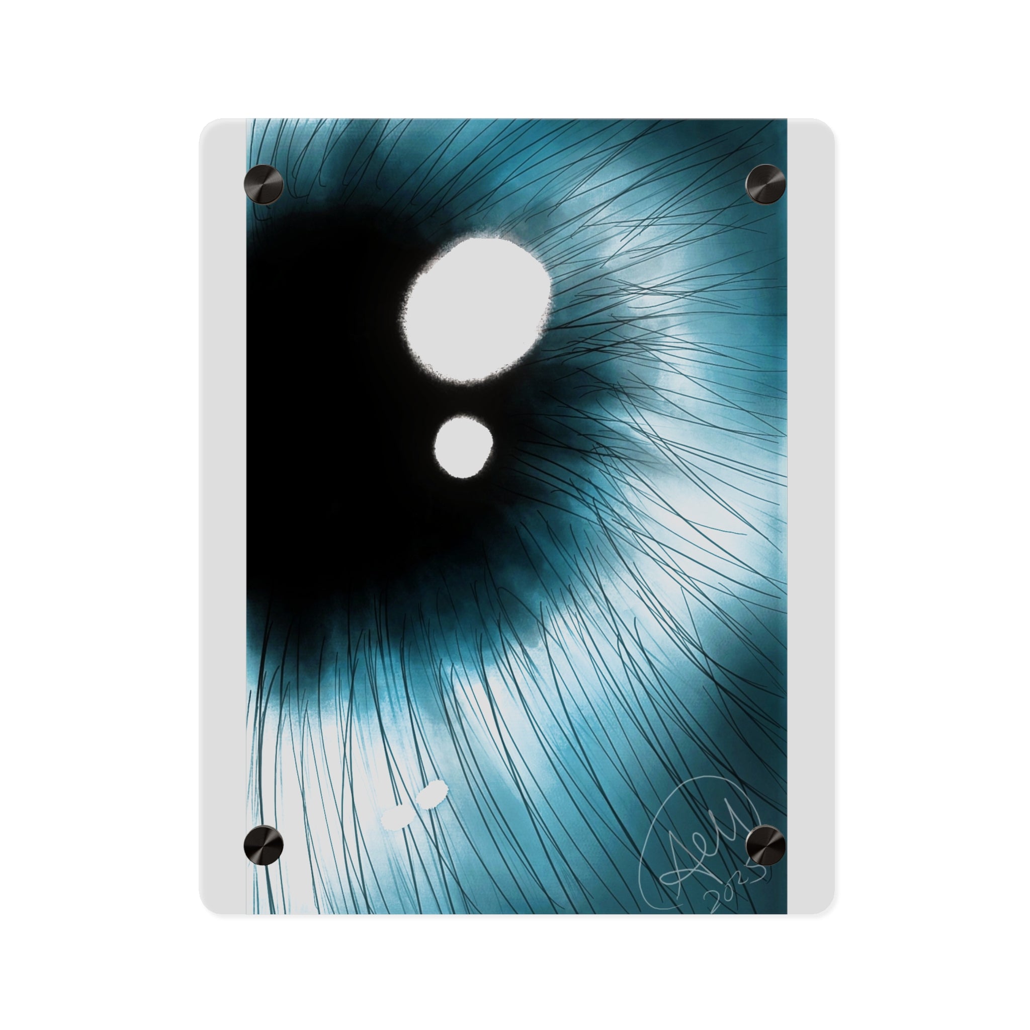Modern Acrylic Wall Art Panels, Abstract Home Decor, Unique Wall Decoration, Contemporary Art, Living Room Wall Art, Gift Idea