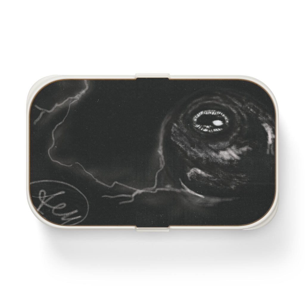 Artistic Bento Lunch Box with Unique Design, Eco-Friendly Lunch Container, Meal Prep Box, School Lunch Gear, Gift for Foodies