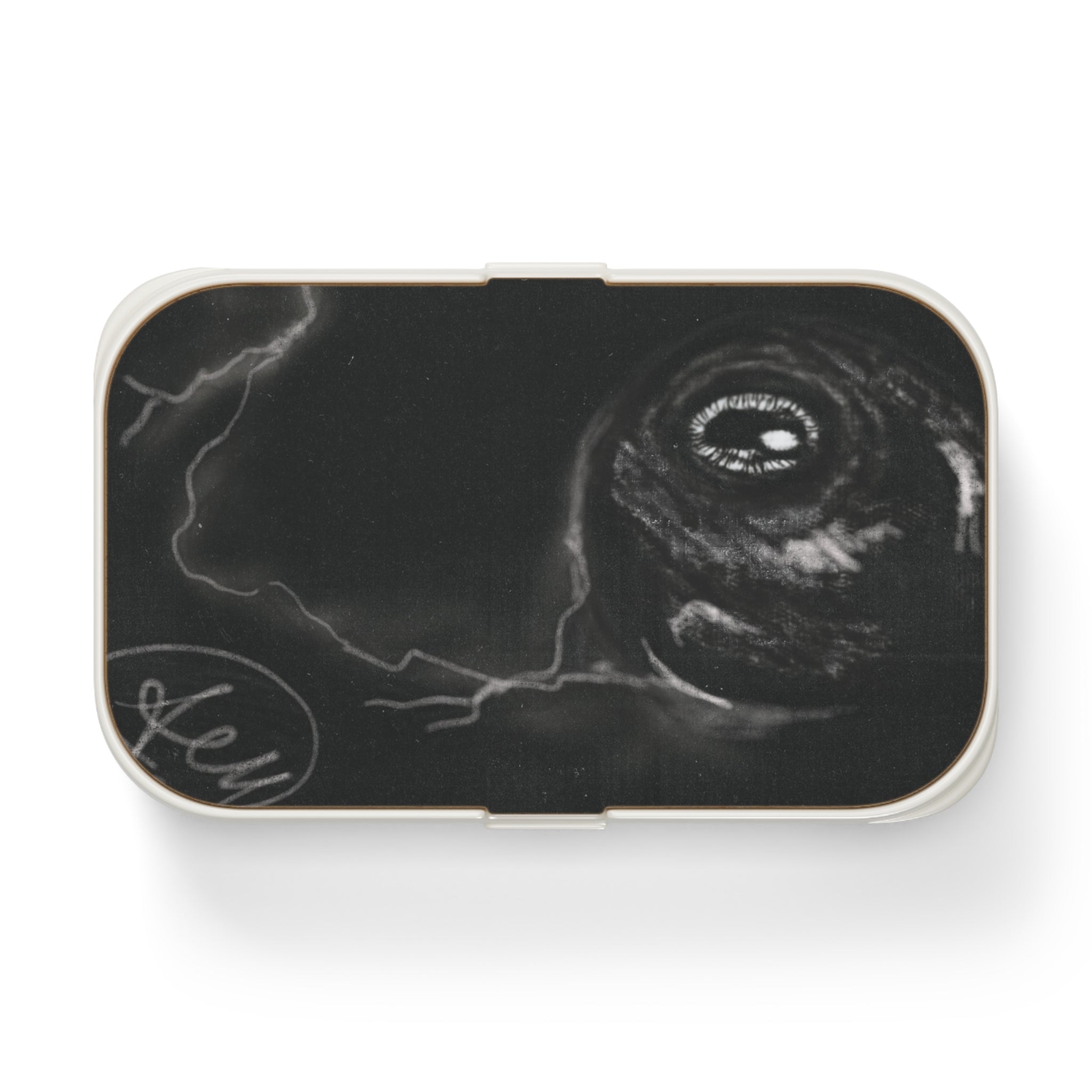 Artistic Bento Lunch Box with Unique Design, Eco-Friendly Lunch Container, Meal Prep Box, School Lunch Gear, Gift for Foodies
