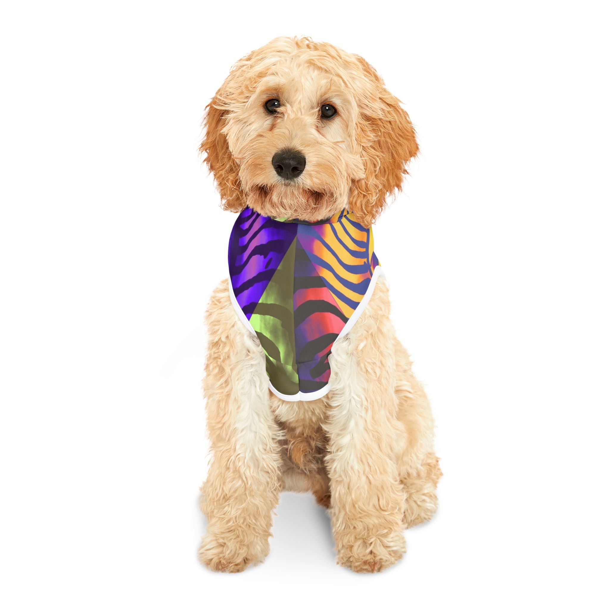 Vibrant Pet Hoodie, Colorful Dog Sweatshirt, Trendy Puppy Outfit, Stylish Pet Apparel, Unique Pet Clothing