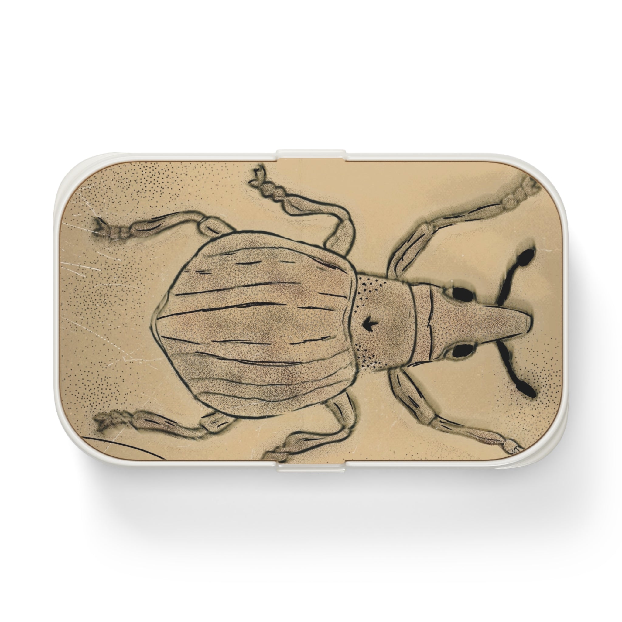 Artistic Beetle Bento Lunch Box | Eco-Friendly Meal Prep Container, School Lunch, Unique Gift for Kids & Adults, Insect Lover's Lunchbox