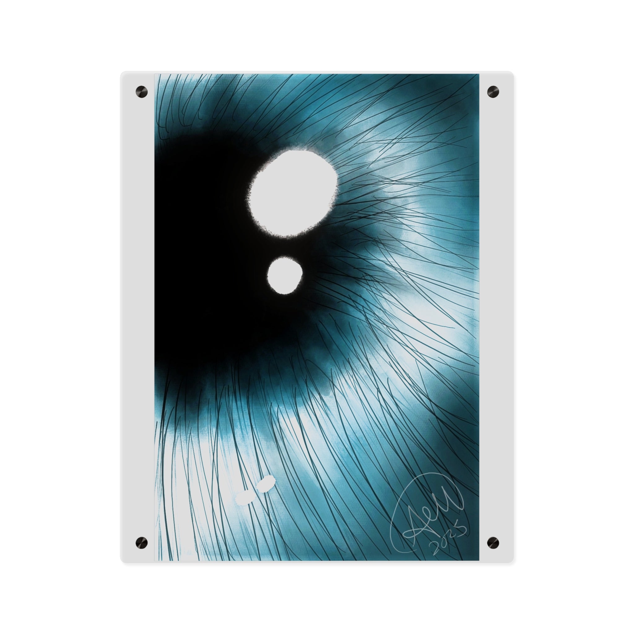 Modern Acrylic Wall Art Panels, Abstract Home Decor, Unique Wall Decoration, Contemporary Art, Living Room Wall Art, Gift Idea