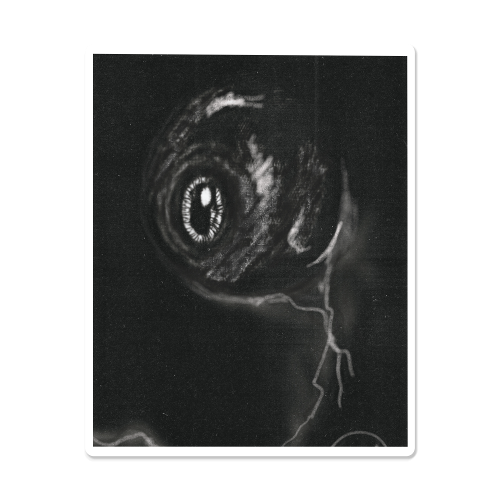 Eyeball
